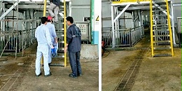 浅析对于生物发酵如何进行废气处理-绵阳饲料厂废气处理公司