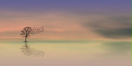 多相氧化催化VOC废气处理设备