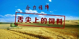 饲料厂废气治理专家分享鱼粉的营养成分特点