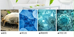 简要了解蓝雨禾环保之液气相化学喷漆废气处理
