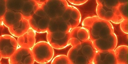 生物净化有机废气处理设备的研究发展